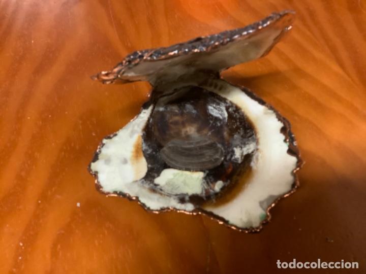 Vintage: CONCHA DE OSTRA DE DECORACION