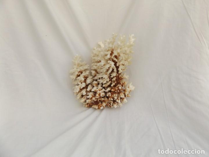 Vintage: coral blanco - Foto 1