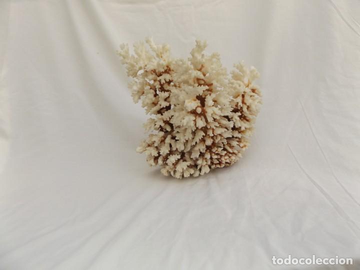 Vintage: coral blanco - Foto 2