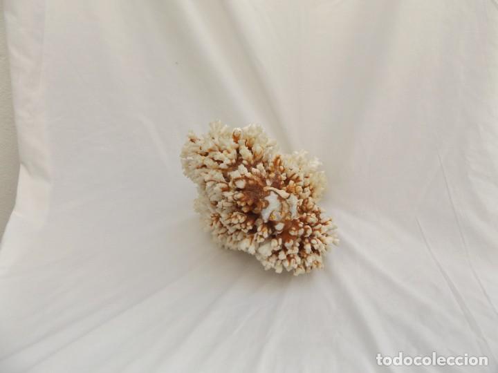 Vintage: coral blanco - Foto 3