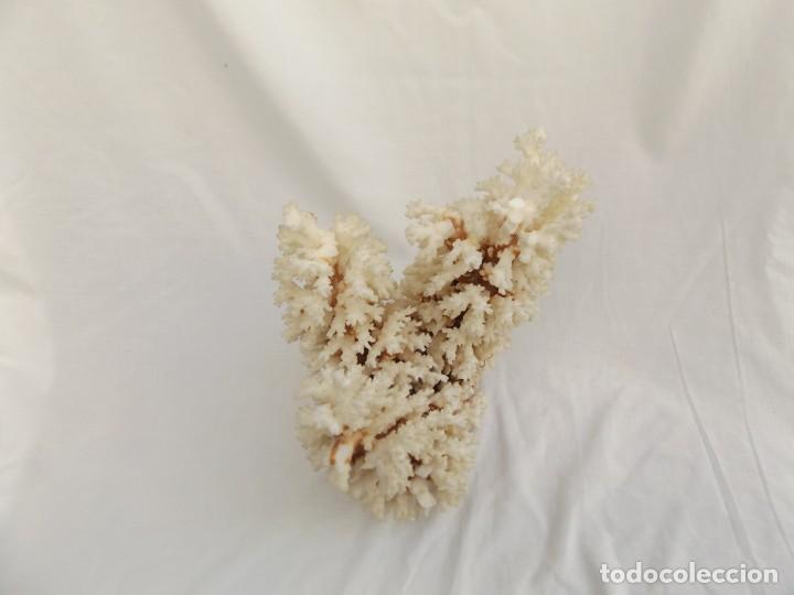 Vintage: coral blanco - Foto 4