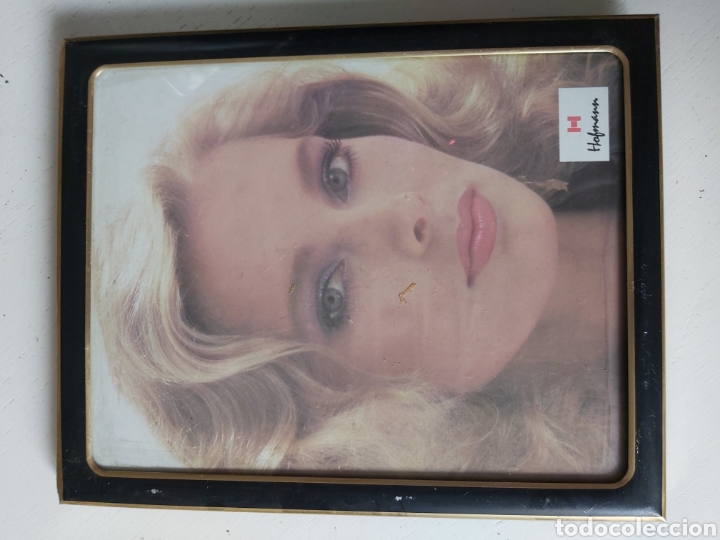 Vintage: I Marco de fotos Hofmann en chapa dorada y negra.