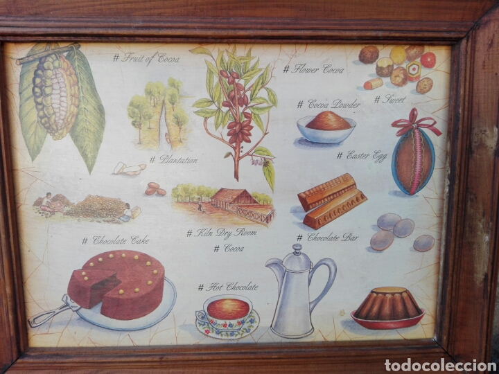 Vintage: Delicioso cuadro vintage cocina dibujos semilla cacao ideal cafeterias y deco cocinas.