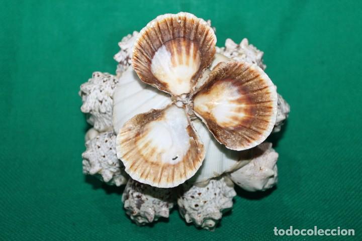 Vintage: antigua cesta conchas - Foto 3