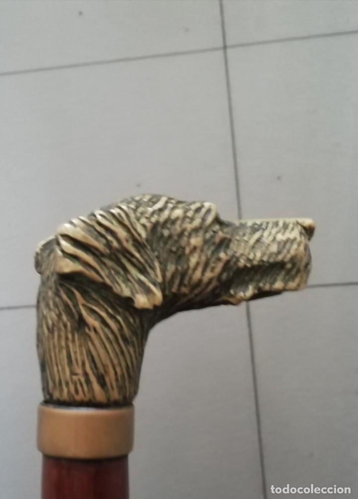 Vintage: Bast&oacute;n cabeza de perro bronce y caoba - Foto 2