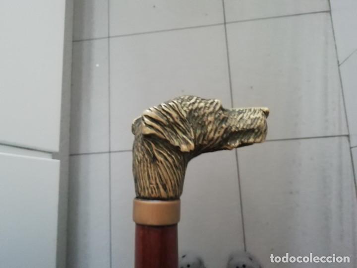 Vintage: Bast&oacute;n cabeza de perro bronce y caoba - Foto 5