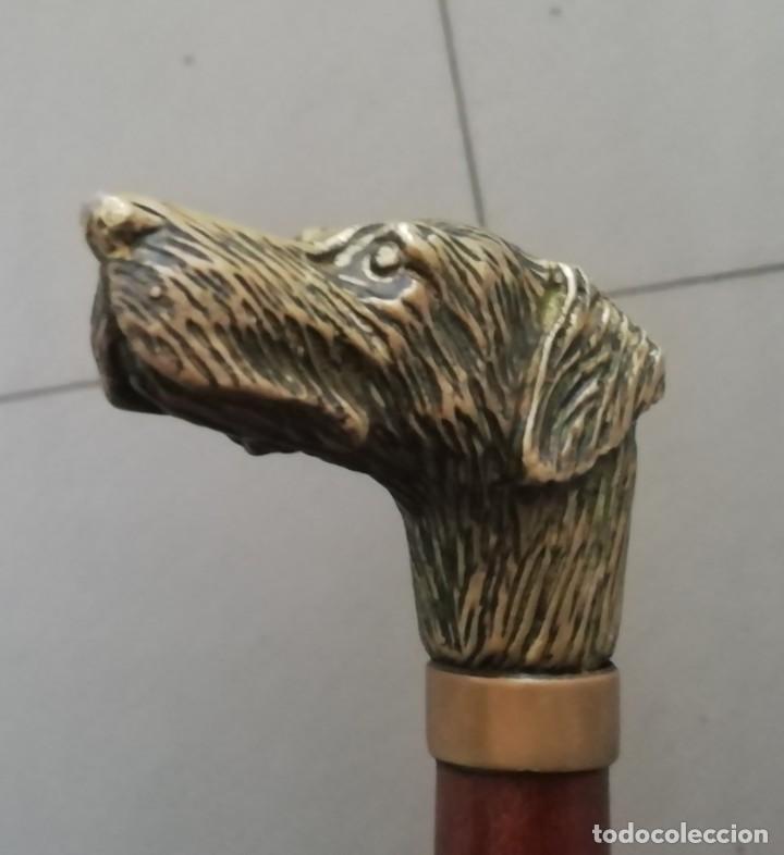 Vintage: Bast&oacute;n cabeza de perro bronce y caoba - Foto 6