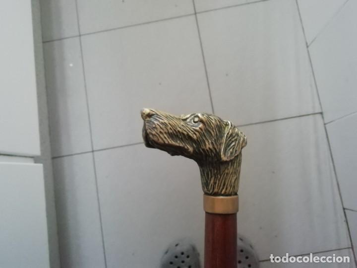 Vintage: Bast&oacute;n cabeza de perro bronce y caoba - Foto 7