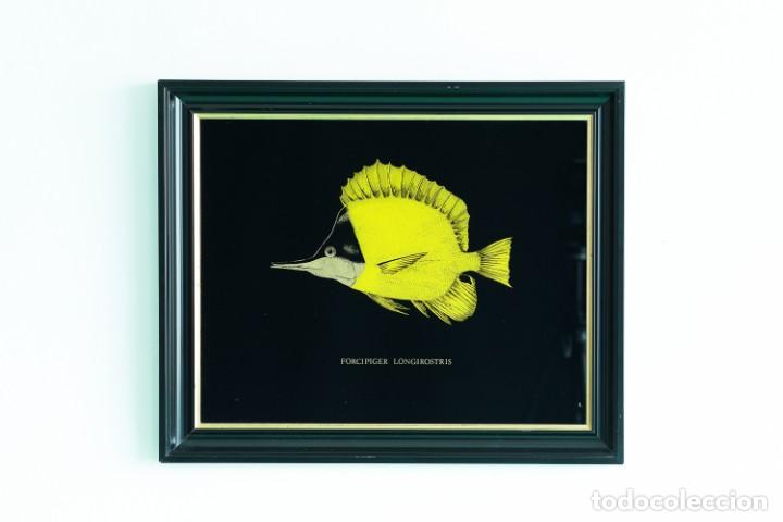 Vintage: PAREJA DE CUADROS PECES - Foto 1
