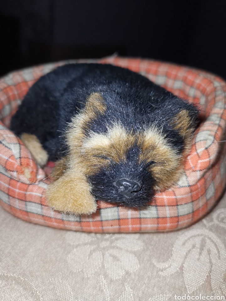 Vintage: Precioso perro Vintage hiper-realista con pelo. Durmiendo en su camita. Muy lindo y adorable.