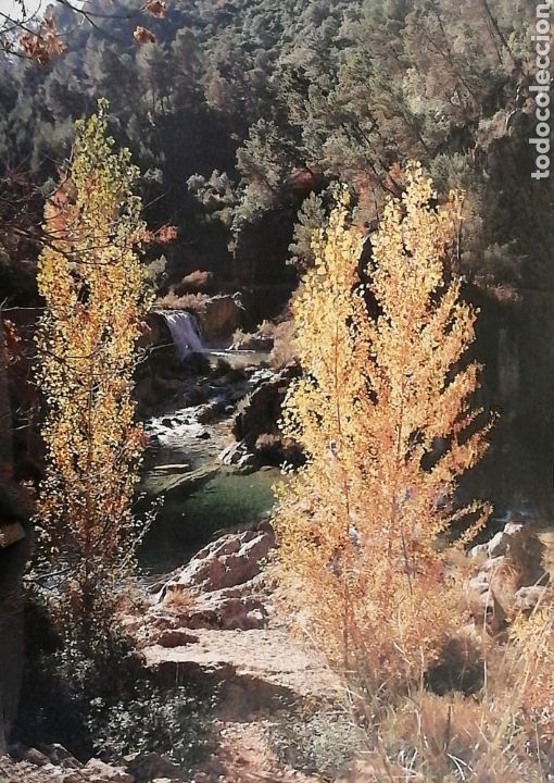 Vintage: Cuadro en madera. R&iacute;o Borosa. Cazorla
