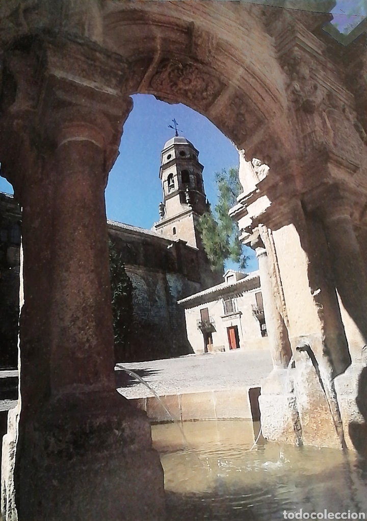 Vintage: Cuadro en madera. Fuente de Santa Mar&iacute;a y Catedral - Ja&eacute;n