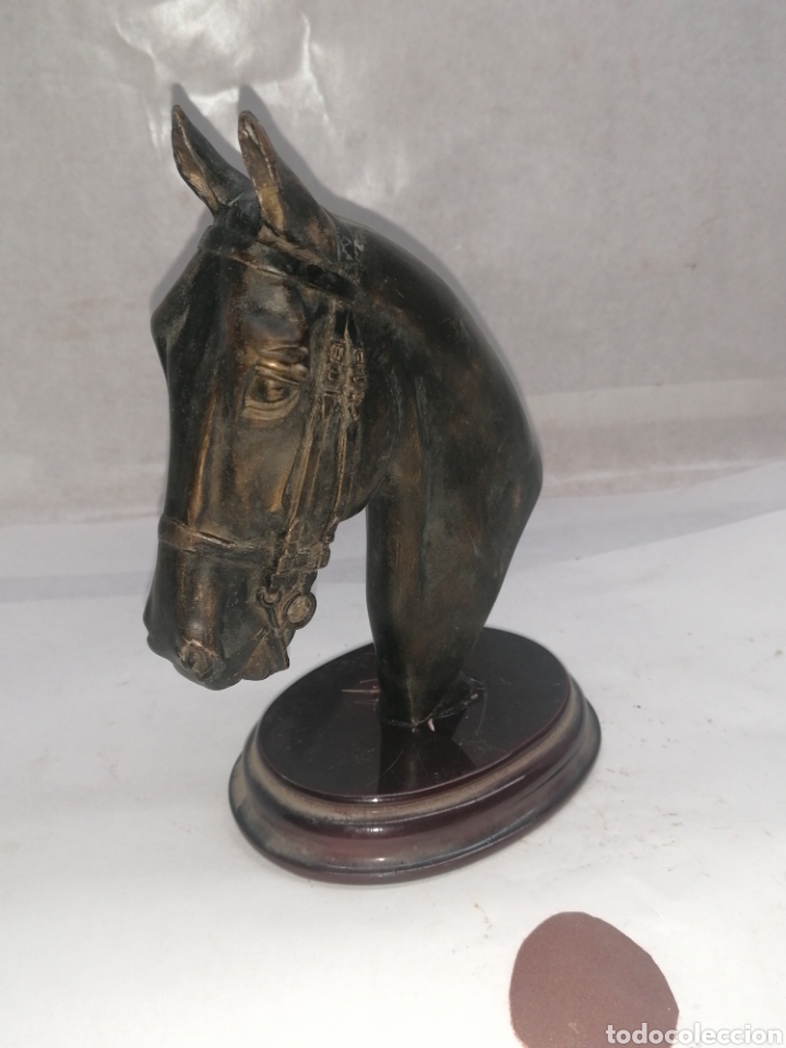 Vintage: Cabeza de caballo