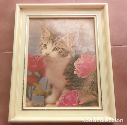 Vintage: Cuadro Gato marco de plastico a&ntilde;os 70