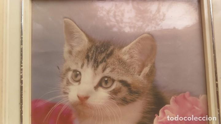 Vintage: Cuadro Gato marco de plastico a&ntilde;os 70 - Foto 2