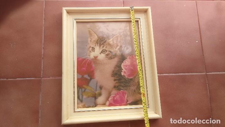 Vintage: Cuadro Gato marco de plastico a&ntilde;os 70 - Foto 3
