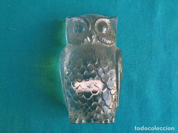 BUHO DE CRISTAL, LA TORRASA SPAIN