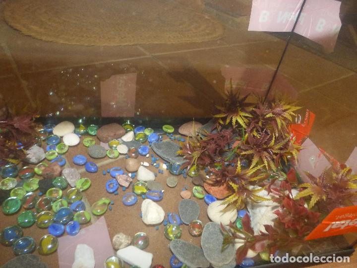 Vintage: Accesorios acuario-pecera - Foto 1