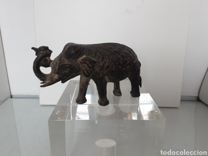 Vintage: Elefante indio - Foto 1