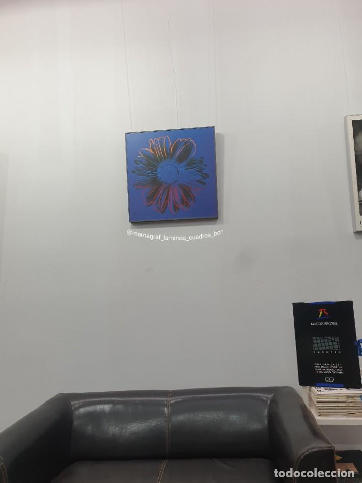 Vintage: ANDY WARHOL. GIRASOL . LAMINA ENMARCADA MAMAGRAF