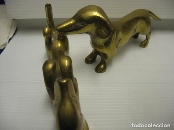 Vintage: bronce de pareja de perritos - Foto 3 - 293955788