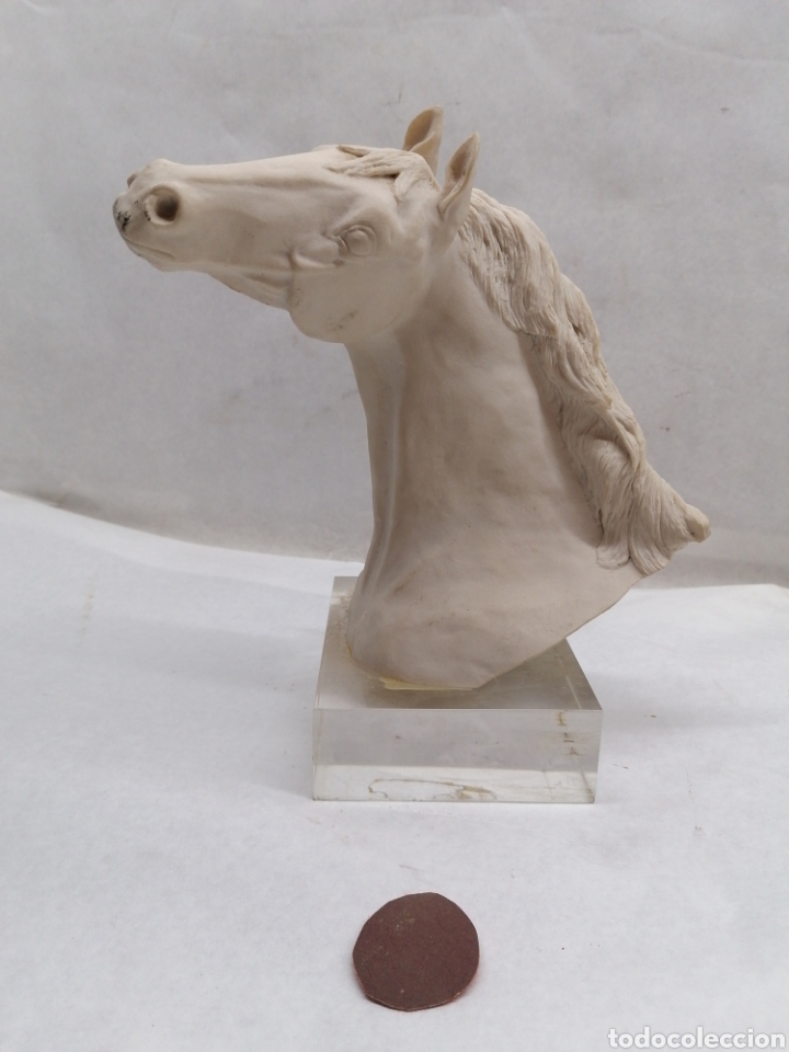 Vintage: Cabeza de caballo - Foto 1