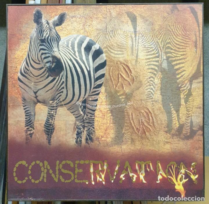 Vintage: CONSERVATION. ZEBRA. MAMAGRAF CUADROS DECORACI&Oacute;N BCN 2x1 en nuestro showroom