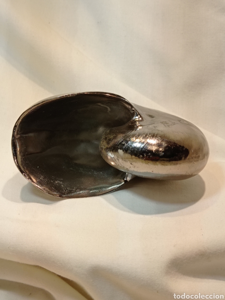 Vintage: VINTAGE NAUTILUS DE RESINA PLATEADO - Foto 4