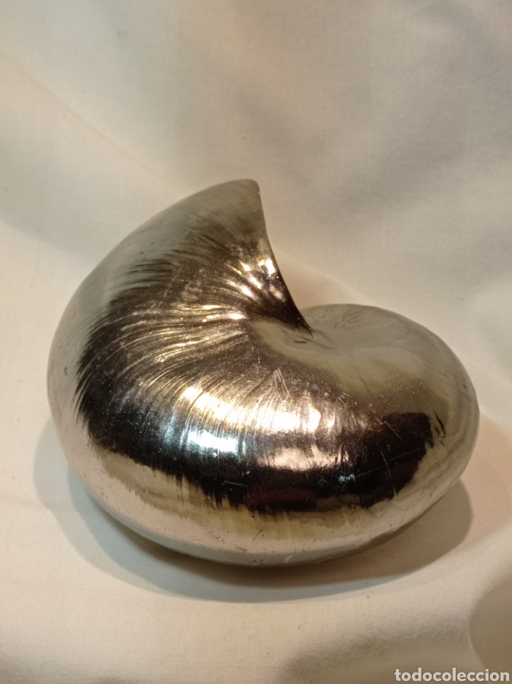 Vintage: VINTAGE NAUTILUS DE RESINA PLATEADO - Foto 6