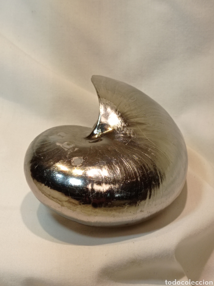 Vintage: VINTAGE NAUTILUS DE RESINA PLATEADO - Foto 7