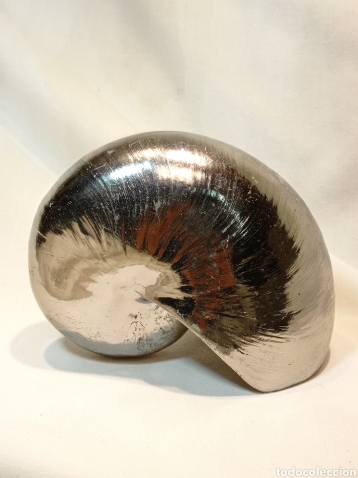 Vintage: VINTAGE NAUTILUS DE RESINA PLATEADO - Foto 1