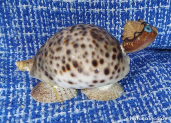 Vintage: tortuga concha marina - Foto 4