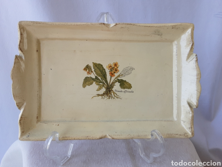 Vintage: BANDEJA MADERA POLICROMADA - ARTESANIA ITALIANA - BOTANICA PR&Iacute;MULA OFFICINALIS