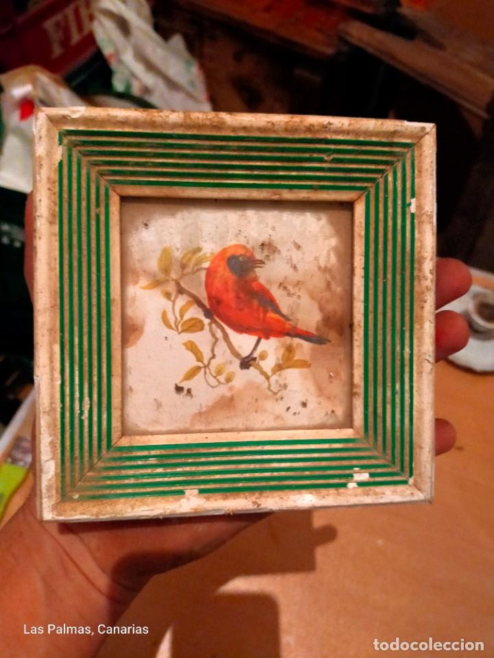 Vintage: Antiguo cuadro peque&ntilde;o enmarcado decoraci&oacute;n p&aacute;jaro - L&aacute;mina