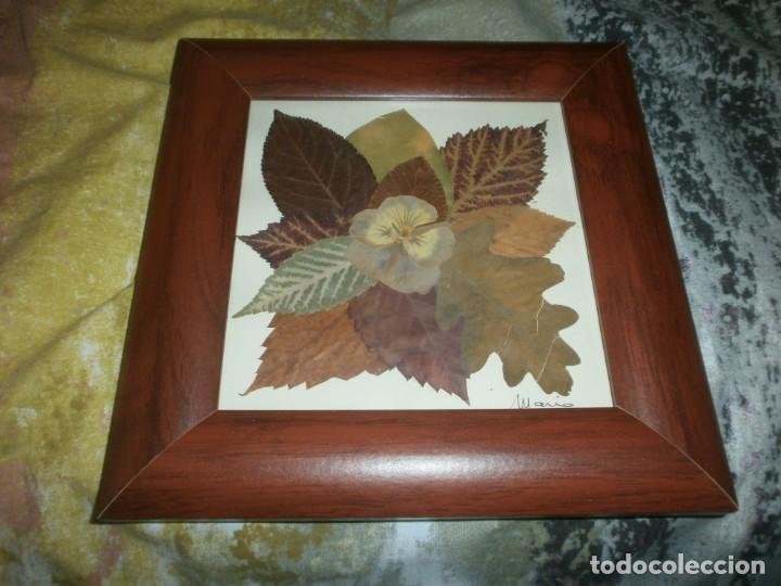 Vintage: Cuadro hojas, flores secas marco y cristal medida 21X21 cm. firmado Mario