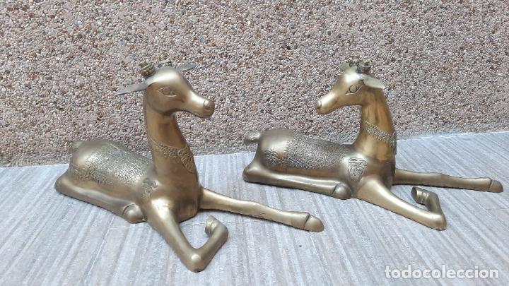 Vintage: Esculturas de Lat&oacute;n Labradas - Estatuas - Pareja de Ciervos Asentados Tumbados - Grandes