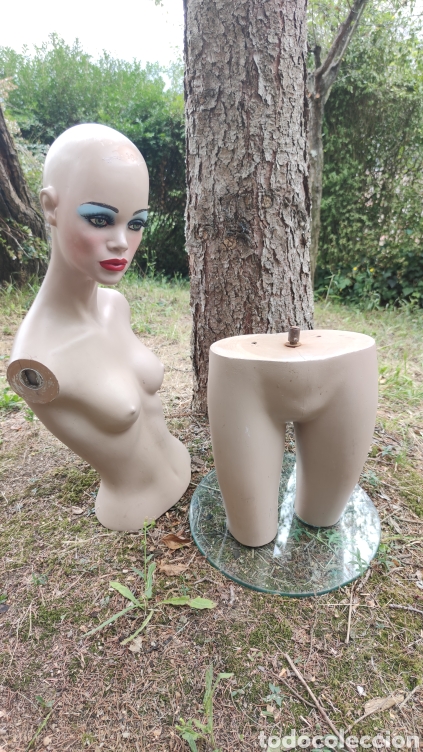Vintage: TORSO DE MANIQUI VINTAGE - Foto 6
