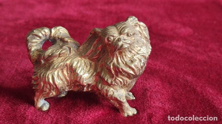 Vintage: Figurita de perro pequin&eacute;s de bronce - Foto 1