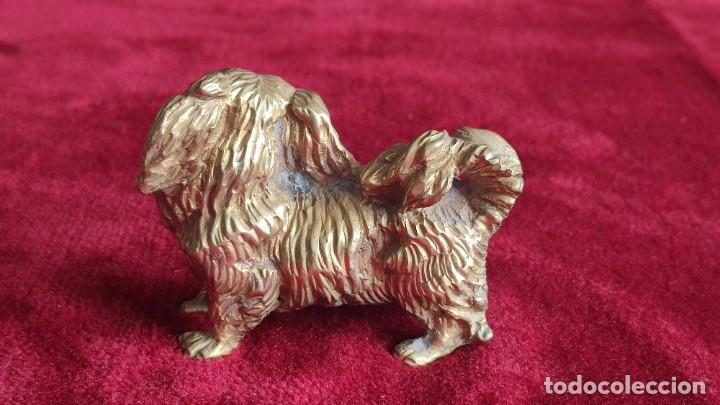 Vintage: Figurita de perro pequin&eacute;s de bronce - Foto 2