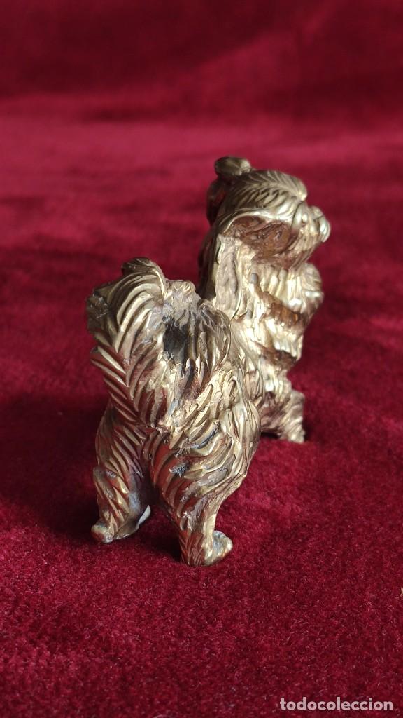 Vintage: Figurita de perro pequin&eacute;s de bronce - Foto 3