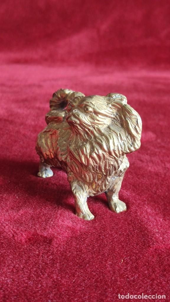 Vintage: Figurita de perro pequin&eacute;s de bronce - Foto 4