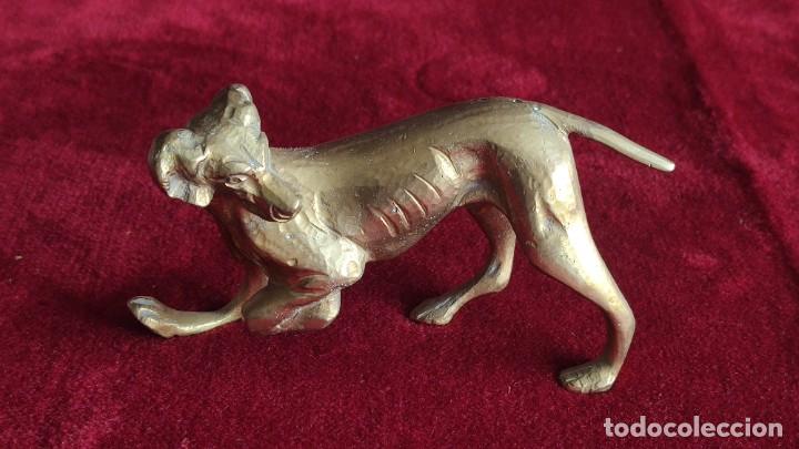 Vintage: Figura de perro de bronce - Foto 1
