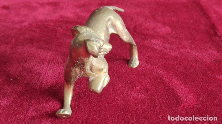 Vintage: Figura de perro de bronce - Foto 2