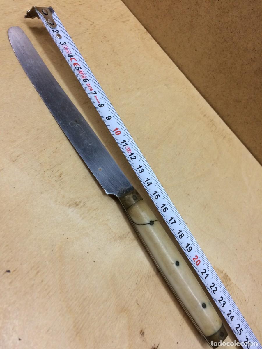 Vintage: cuchillo cocina vintage (P)