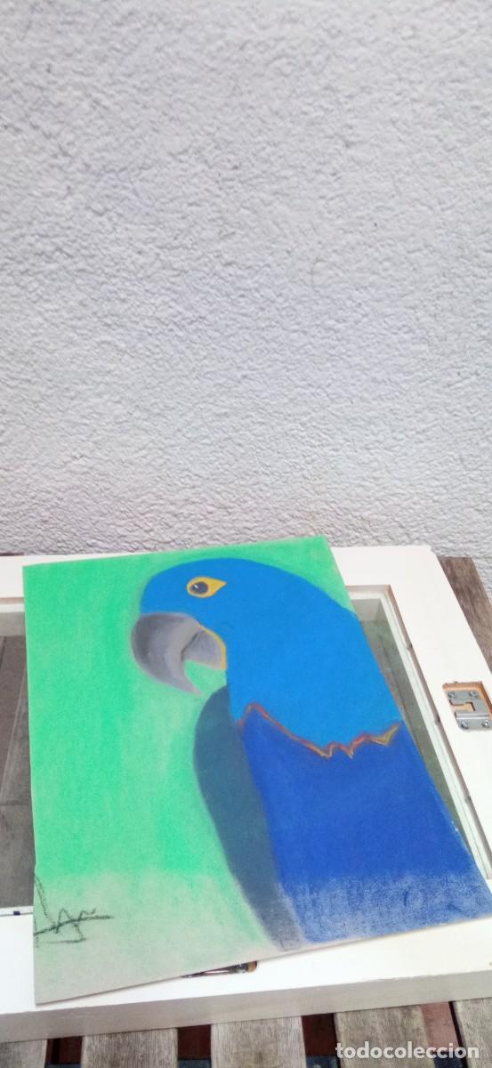Vintage: GRAN DIBUJO LORO ENMARCADO - Foto 3