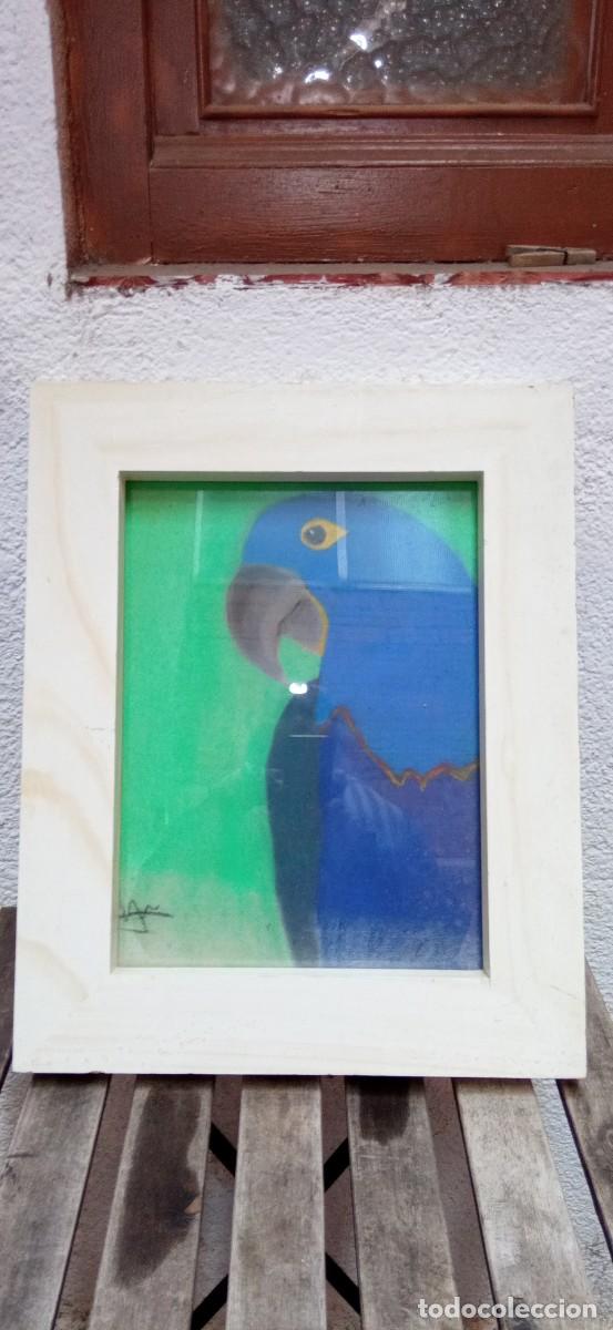Vintage: GRAN DIBUJO LORO ENMARCADO - Foto 5