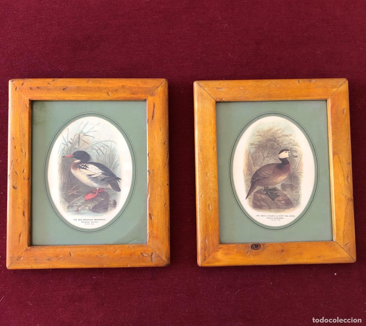 Vintage: PAREJA CUADROS GRABADOS Y PASPART&Uacute;