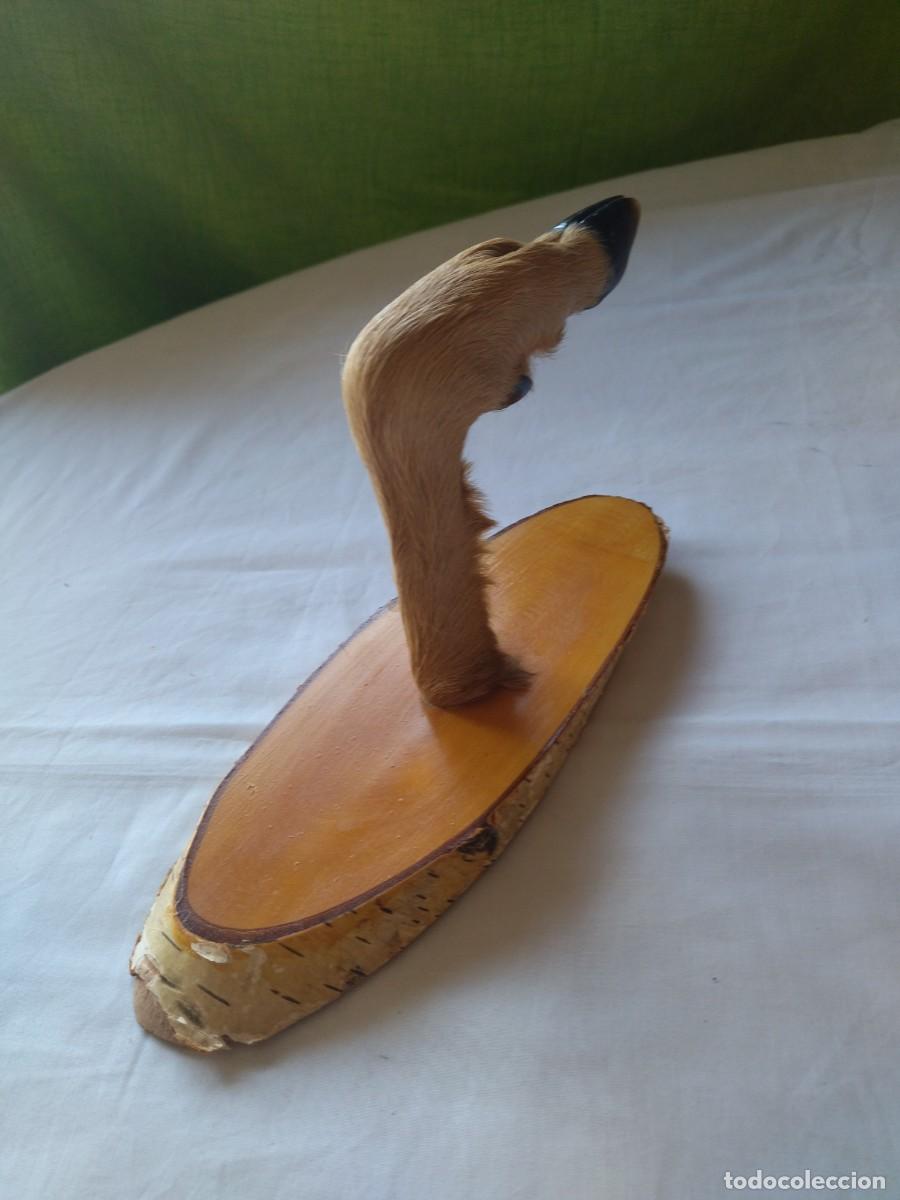 Vintage: Antiguo perchero con pata de cabra real, base de madera, ideal caba&ntilde;as - Foto 1