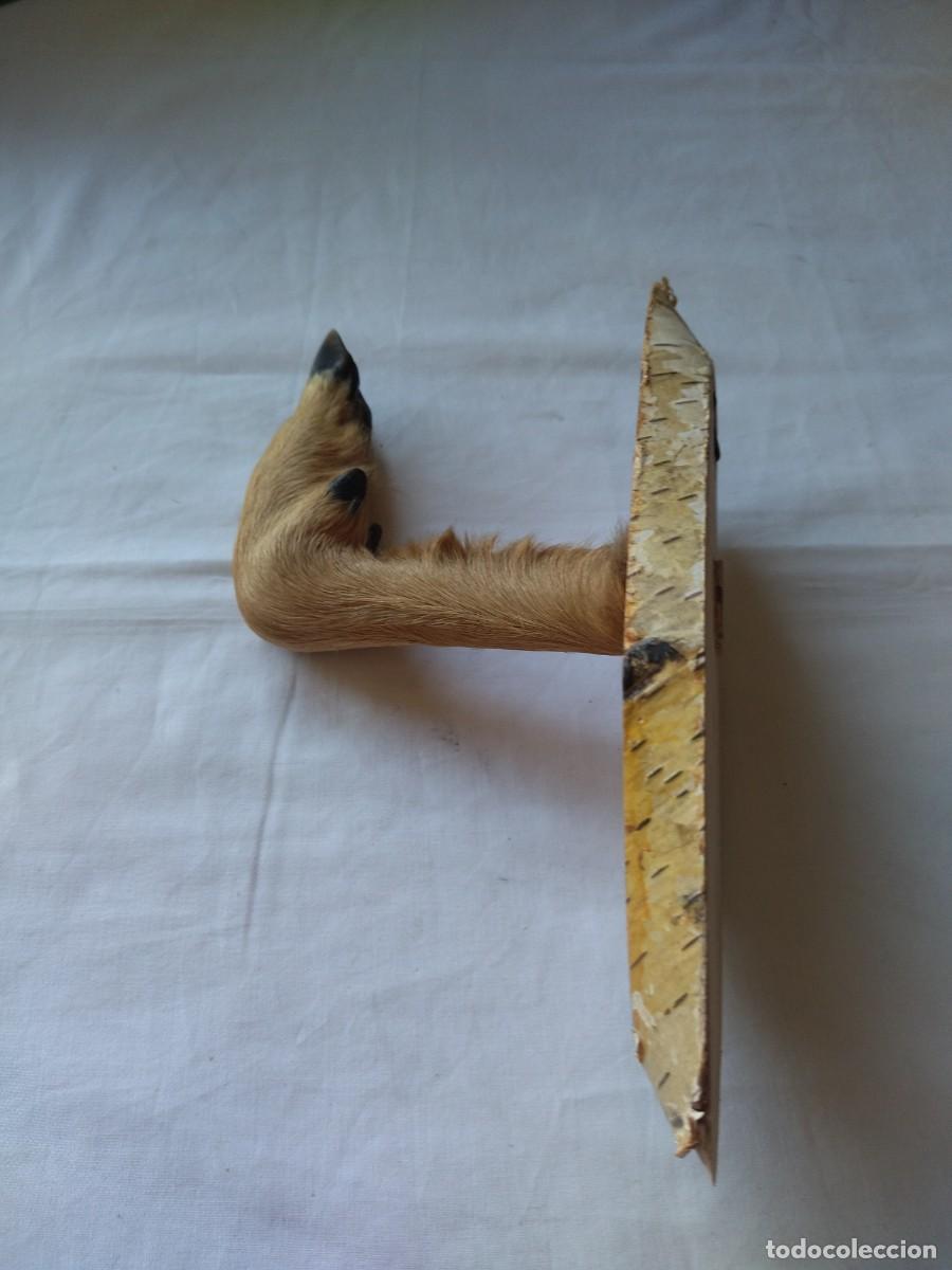 Vintage: Antiguo perchero con pata de cabra real, base de madera, ideal caba&ntilde;as - Foto 7