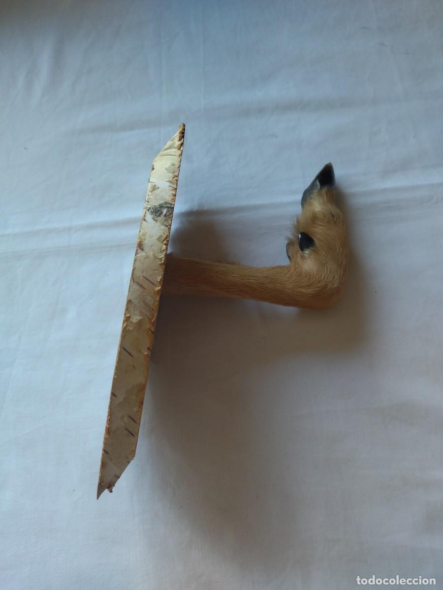 Vintage: Antiguo perchero con pata de cabra real, base de madera, ideal caba&ntilde;as - Foto 9
